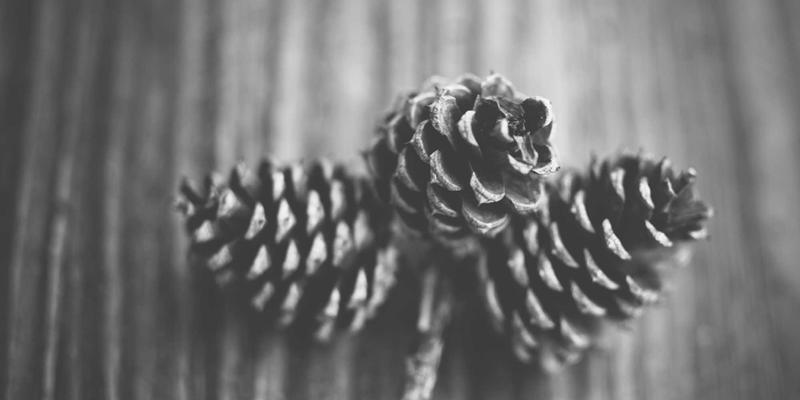 山东防裂贴：市政道路检查井周边裂缝防治的创新工艺与应用