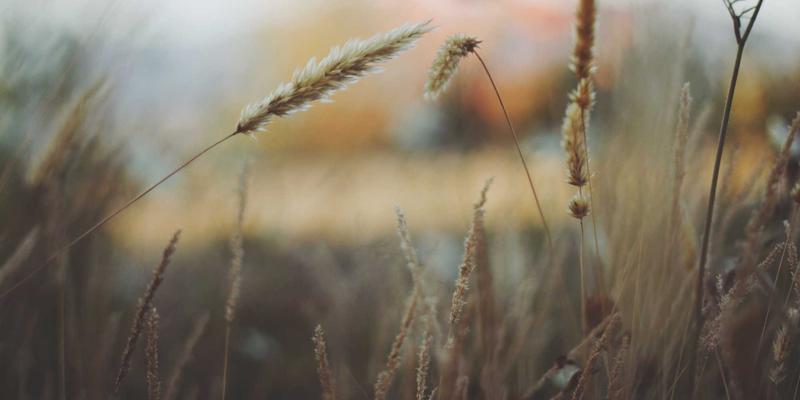 山东防裂贴环保性能深度评估：从材料成分到施工过程的环境影响解析