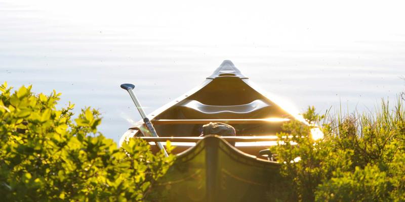 工程材料专家解读：山东防裂贴施工中，基层洁净度如何决定防水材料粘结效果