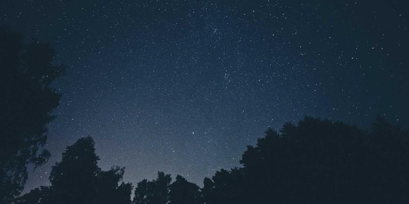 市政道路养护新策略：防裂贴的预防性应用与长期效益深度解析