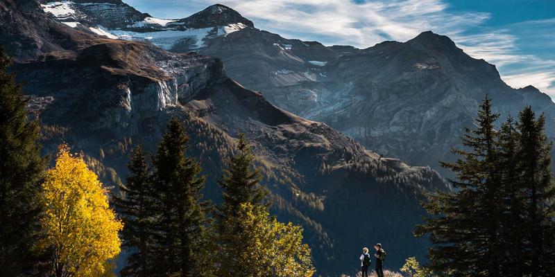聚酯、玻纤、复合胎基防裂贴力学性能全解析：山东建筑防水材料选型指南
