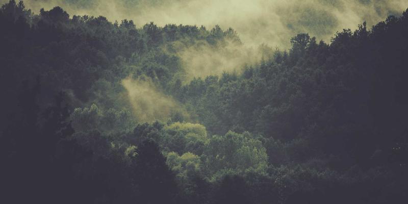 防裂贴工程应用深度解析：从材料特性到施工成败的关键案例