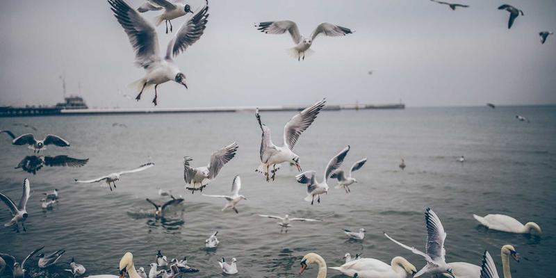 防裂贴：市政检查井周边裂缝防治的特殊工艺与建筑材料革新