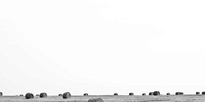 高寒地区冻融循环下防裂贴的耐久性表现与选型指南：建筑材料专家深度解析