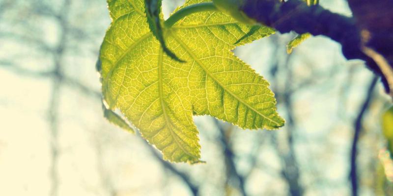 高速公路养护利器：山东防裂贴施工工艺与质量控制全解析